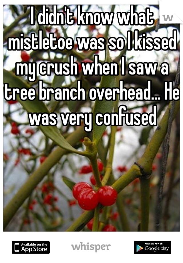 I didn't know what mistletoe was so I kissed my crush when I saw a tree branch overhead... He was very confused 