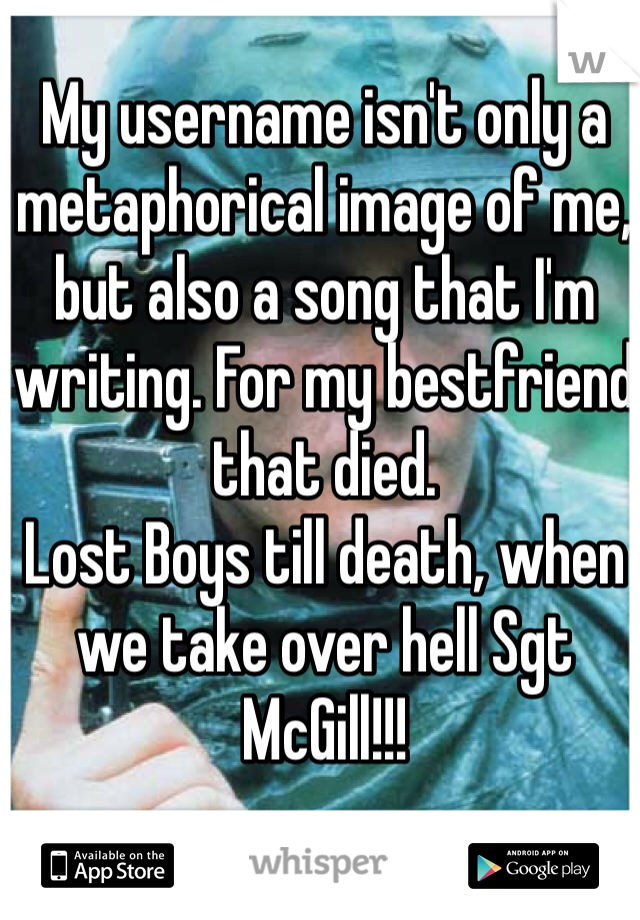 My username isn't only a metaphorical image of me, but also a song that I'm writing. For my bestfriend that died. 
Lost Boys till death, when we take over hell Sgt McGill!!!