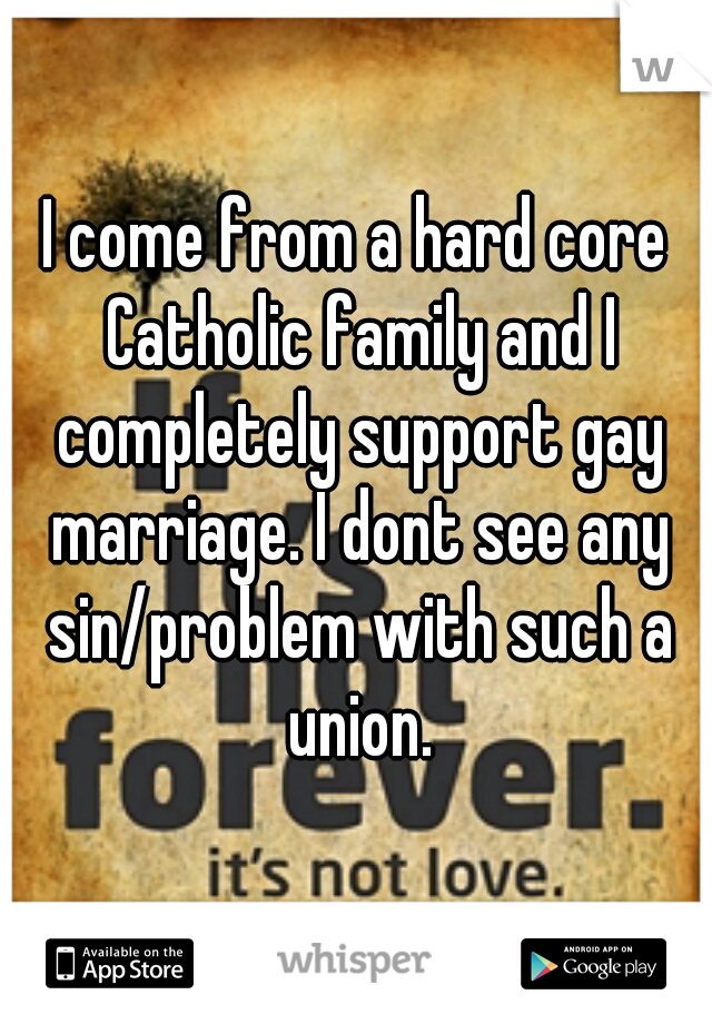 I come from a hard core Catholic family and I completely support gay marriage. I dont see any sin/problem with such a union.