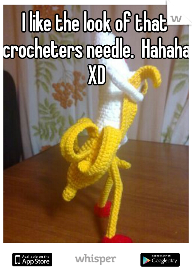 I like the look of that crocheters needle.  Hahaha XD