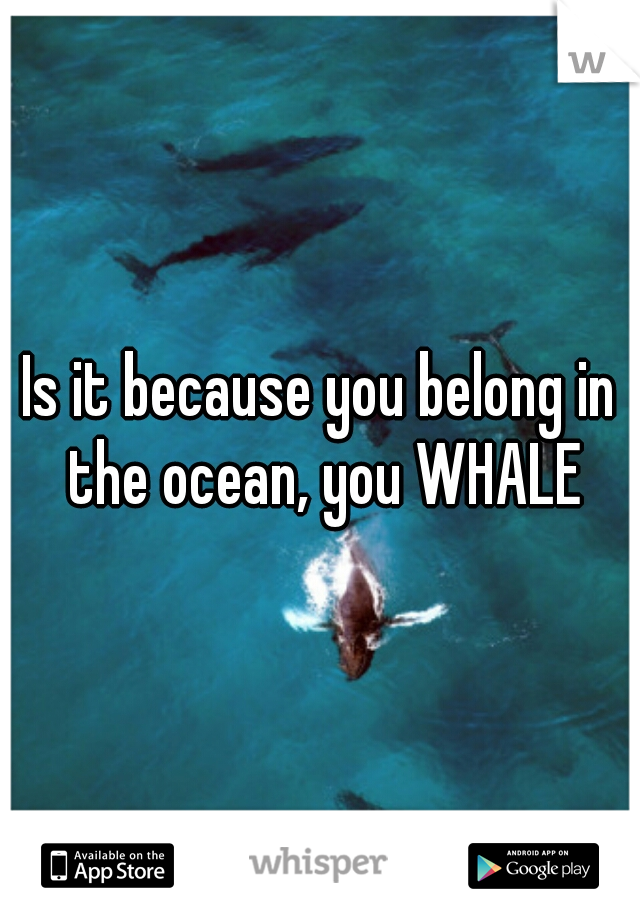 Is it because you belong in the ocean, you WHALE