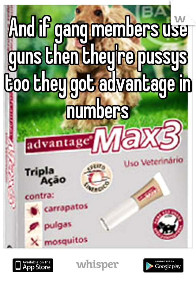 And if gang members use guns then they're pussys too they got advantage in numbers