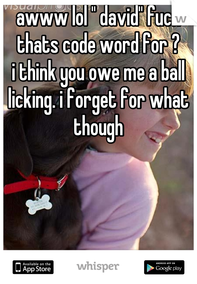 awww lol " david" fuck thats code word for ?
i think you owe me a ball licking. i forget for what though