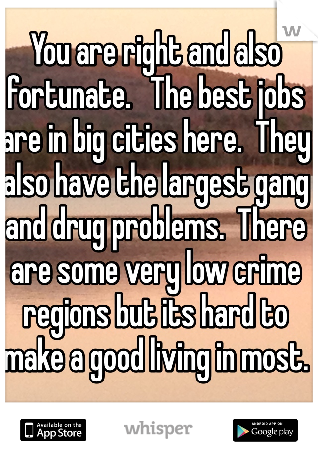 You are right and also fortunate.   The best jobs are in big cities here.  They also have the largest gang and drug problems.  There are some very low crime regions but its hard to make a good living in most. 