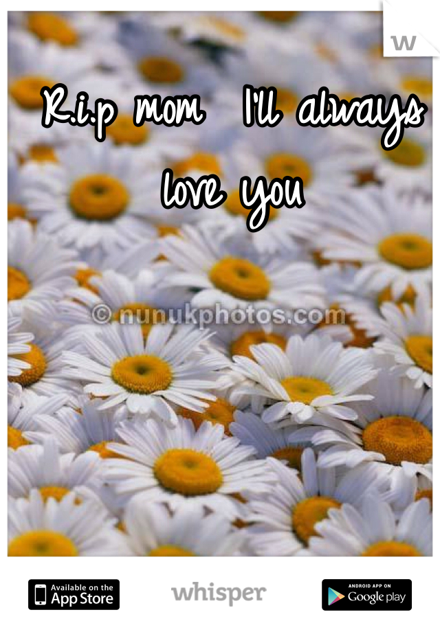 R.i.p mom  I'll always love you 