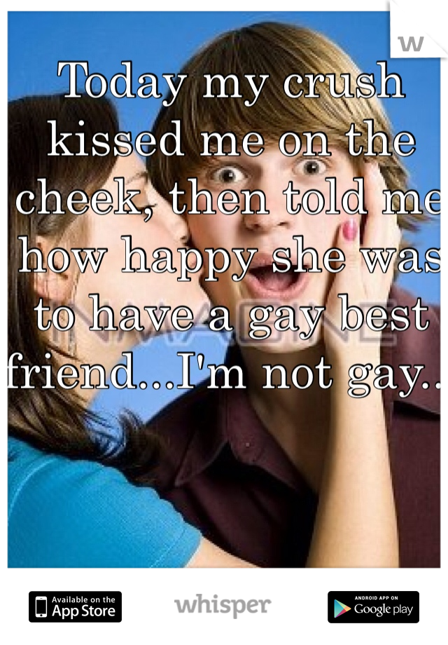 Today my crush kissed me on the cheek, then told me how happy she was to have a gay best friend...I'm not gay...