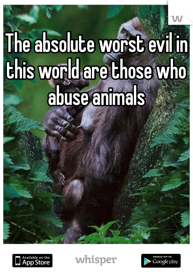 The absolute worst evil in this world are those who abuse animals
