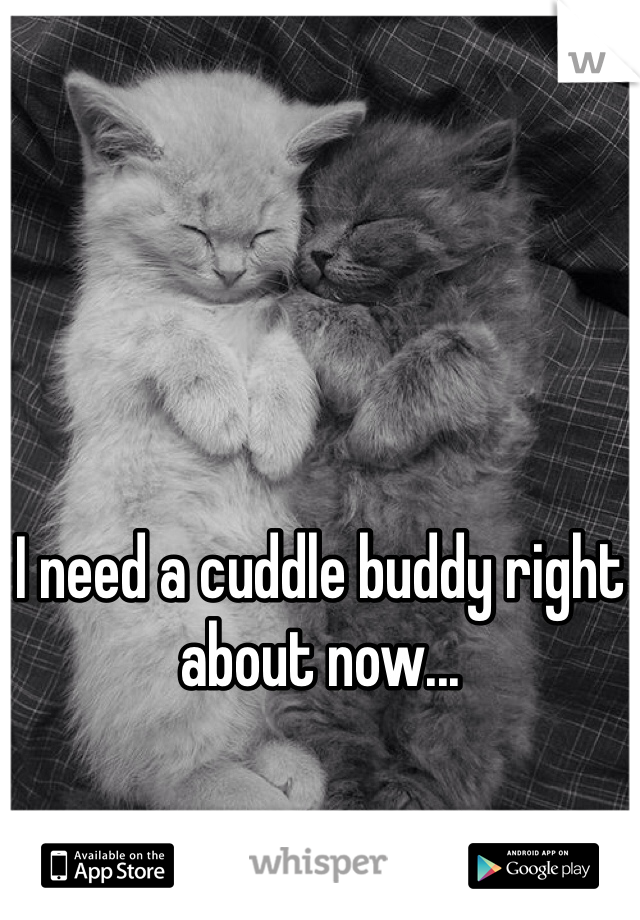 





I need a cuddle buddy right about now...
