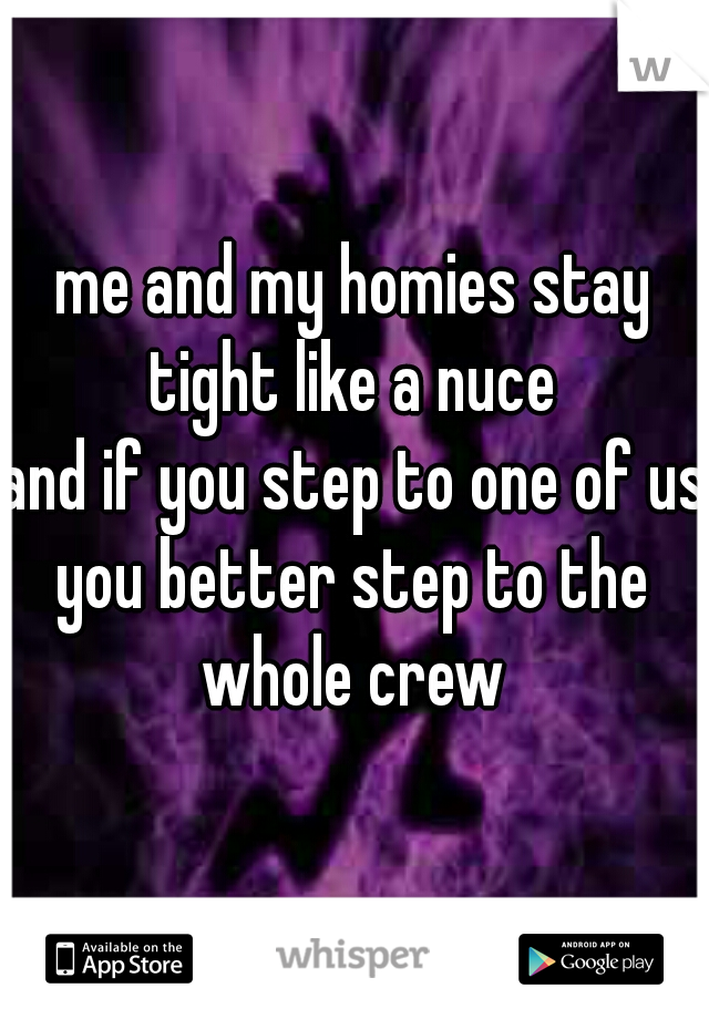 me and my homies stay tight like a nuce 
and if you step to one of us 
you better step to the whole crew 
