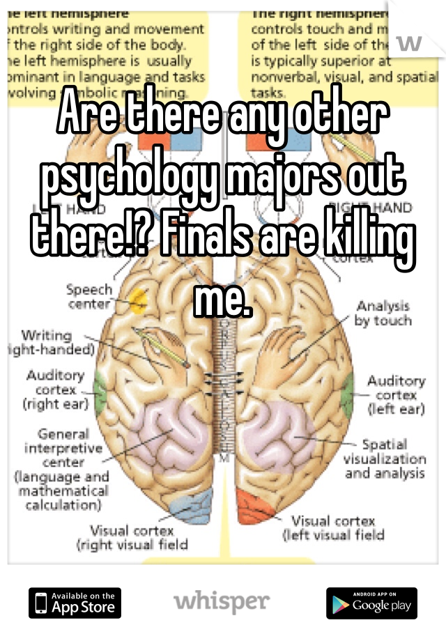 Are there any other psychology majors out there!? Finals are killing me. 