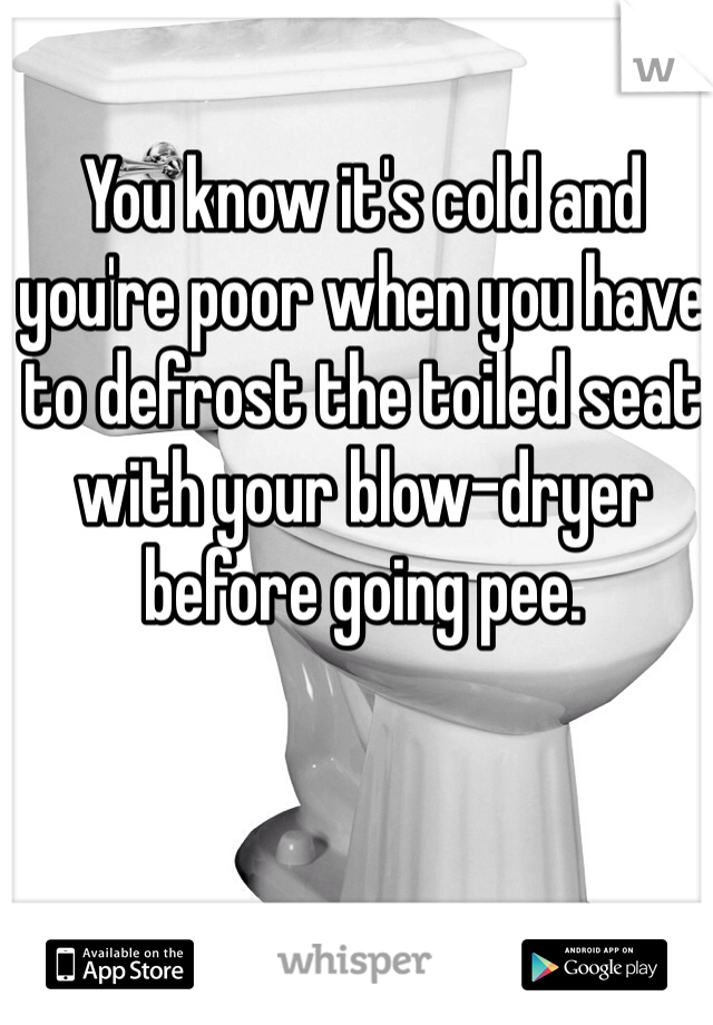 You know it's cold and you're poor when you have to defrost the toiled seat with your blow-dryer before going pee. 
