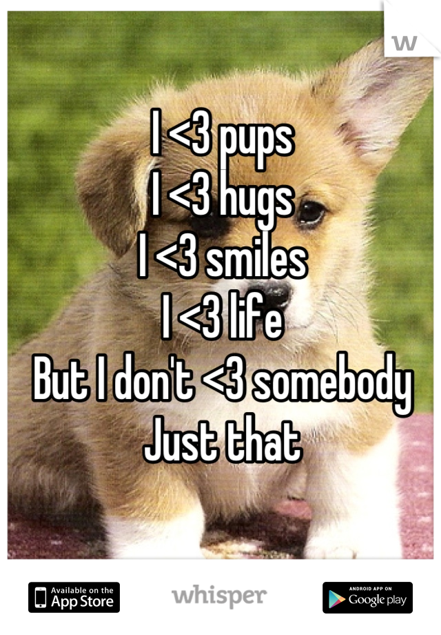 I <3 pups
I <3 hugs
I <3 smiles
I <3 life
But I don't <3 somebody
Just that
