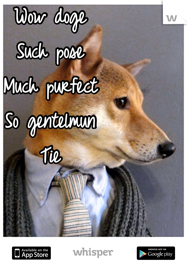 Wow doge 
Such pose
Much purfect
So gentelmun
Tie