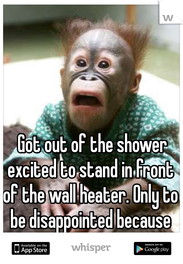  Got out of the shower excited to stand in front of the wall heater. Only to be disappointed because it's off 