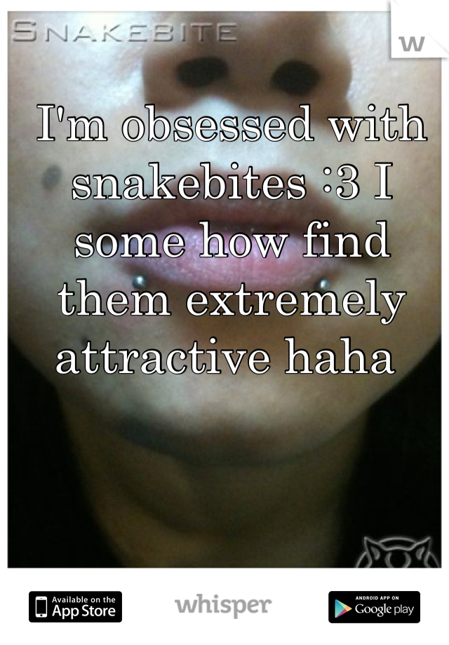 I'm obsessed with snakebites :3 I some how find them extremely attractive haha 