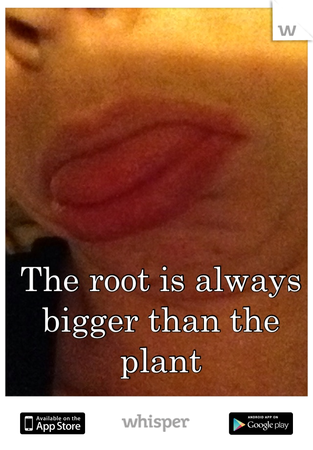 The root is always bigger than the plant 
