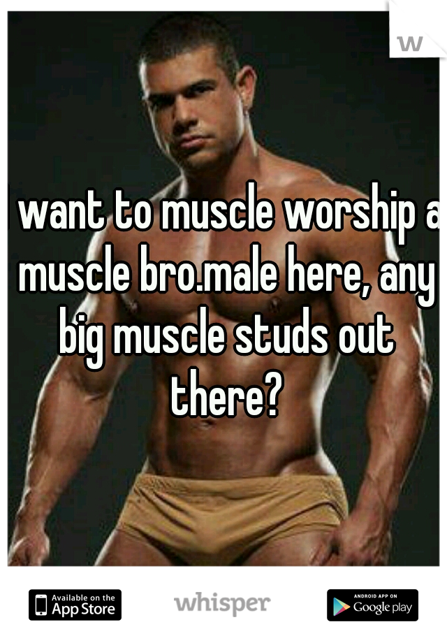 I want to muscle worship a muscle bro.male here, any big muscle studs out there?