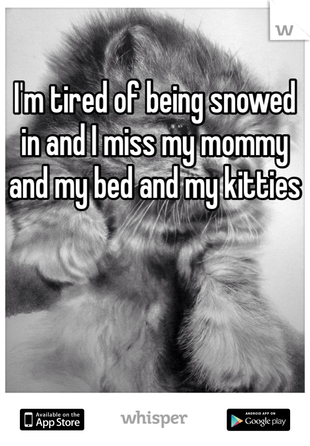 I'm tired of being snowed in and I miss my mommy and my bed and my kitties