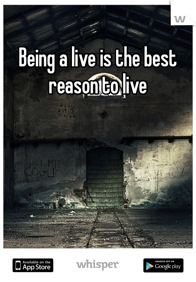 Being a live is the best reason to live 