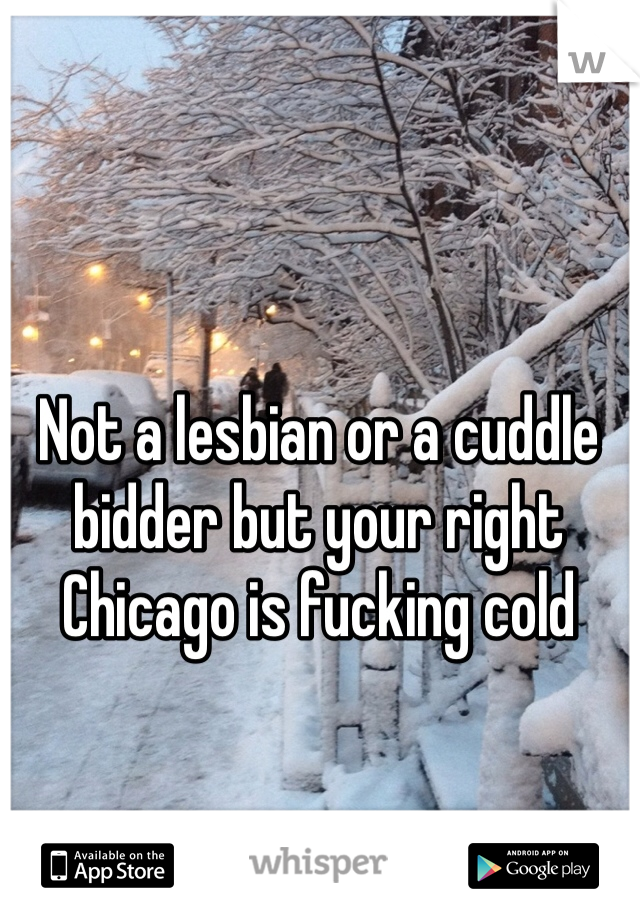 Not a lesbian or a cuddle bidder but your right Chicago is fucking cold