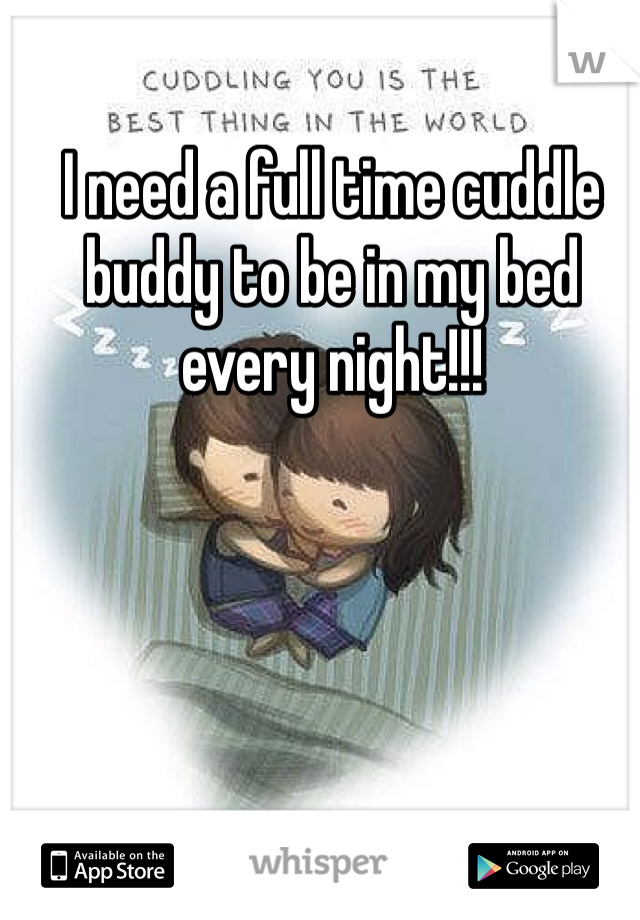 I need a full time cuddle buddy to be in my bed every night!!!