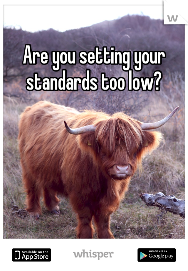 Are you setting your standards too low?