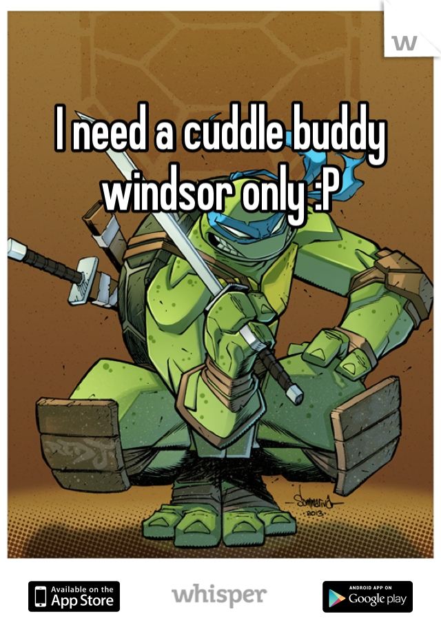I need a cuddle buddy windsor only :P 