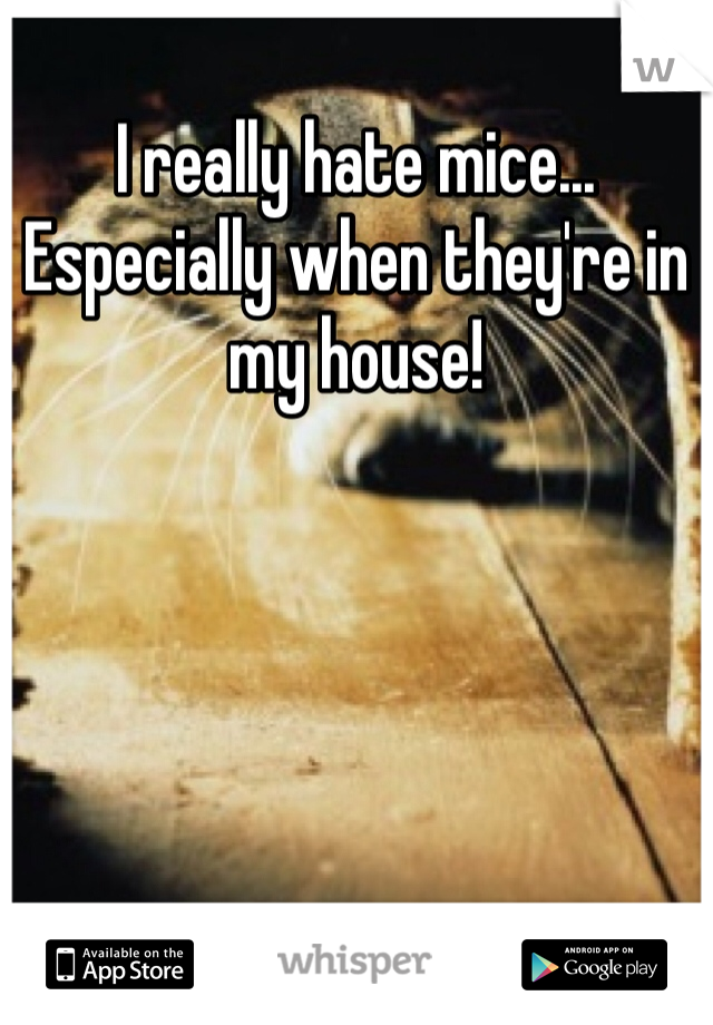 I really hate mice... Especially when they're in my house! 