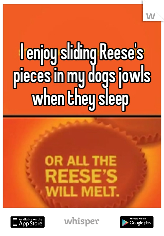 I enjoy sliding Reese's pieces in my dogs jowls when they sleep 
