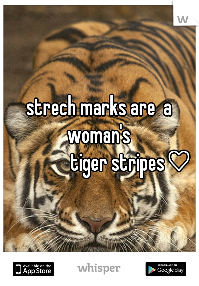 strech marks are  a woman's 
                tiger stripes♡