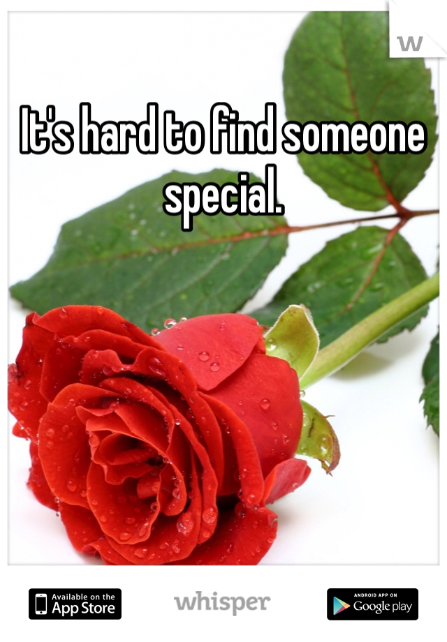 It's hard to find someone special. 