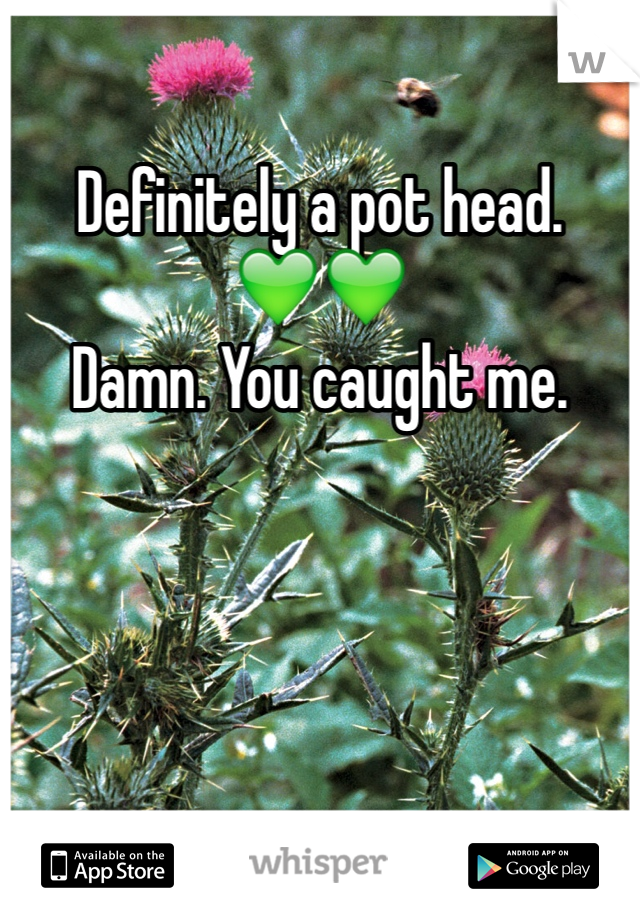 Definitely a pot head. 
💚💚 
Damn. You caught me.