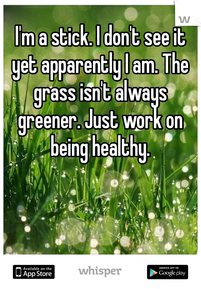 I'm a stick. I don't see it yet apparently I am. The grass isn't always greener. Just work on being healthy. 