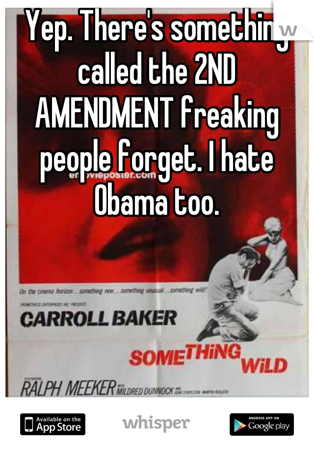 Yep. There's something called the 2ND AMENDMENT freaking people forget. I hate Obama too.