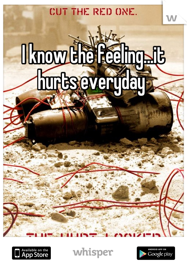 I know the feeling...it hurts everyday 