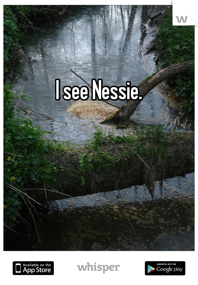 I see Nessie. 