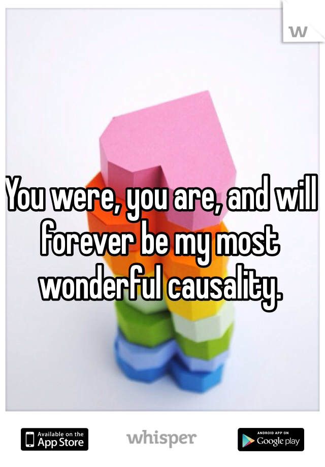 You were, you are, and will forever be my most wonderful causality. 