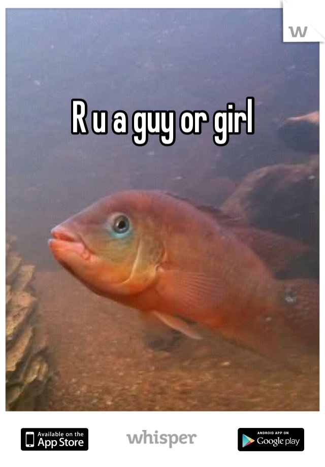 R u a guy or girl