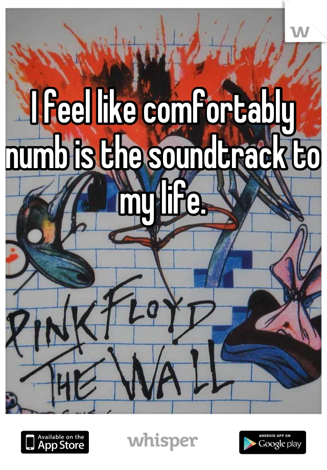 I feel like comfortably numb is the soundtrack to my life.