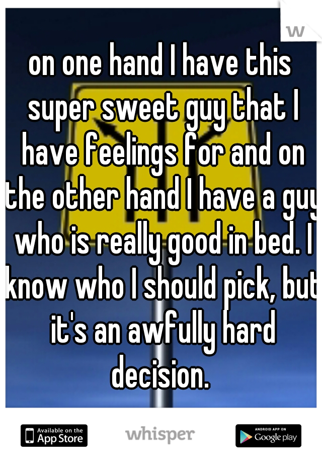 on one hand I have this super sweet guy that I have feelings for and on the other hand I have a guy who is really good in bed. I know who I should pick, but it's an awfully hard decision. 