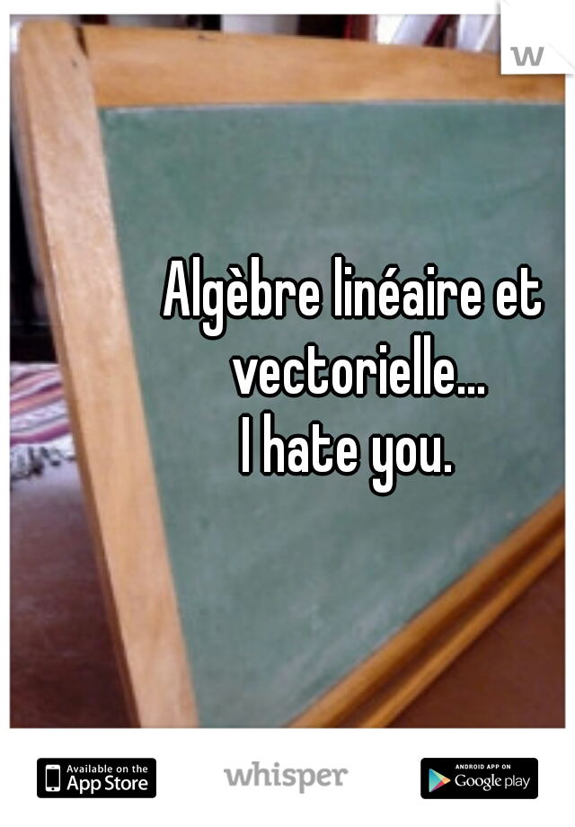 Algèbre linéaire et vectorielle...

I hate you. 