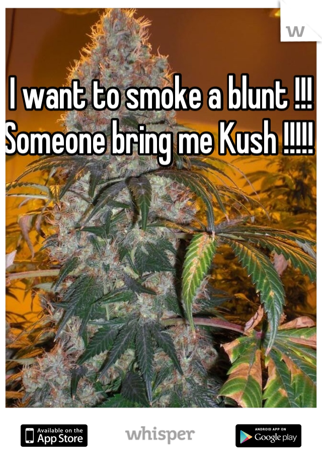 I want to smoke a blunt !!! Someone bring me Kush !!!!! 