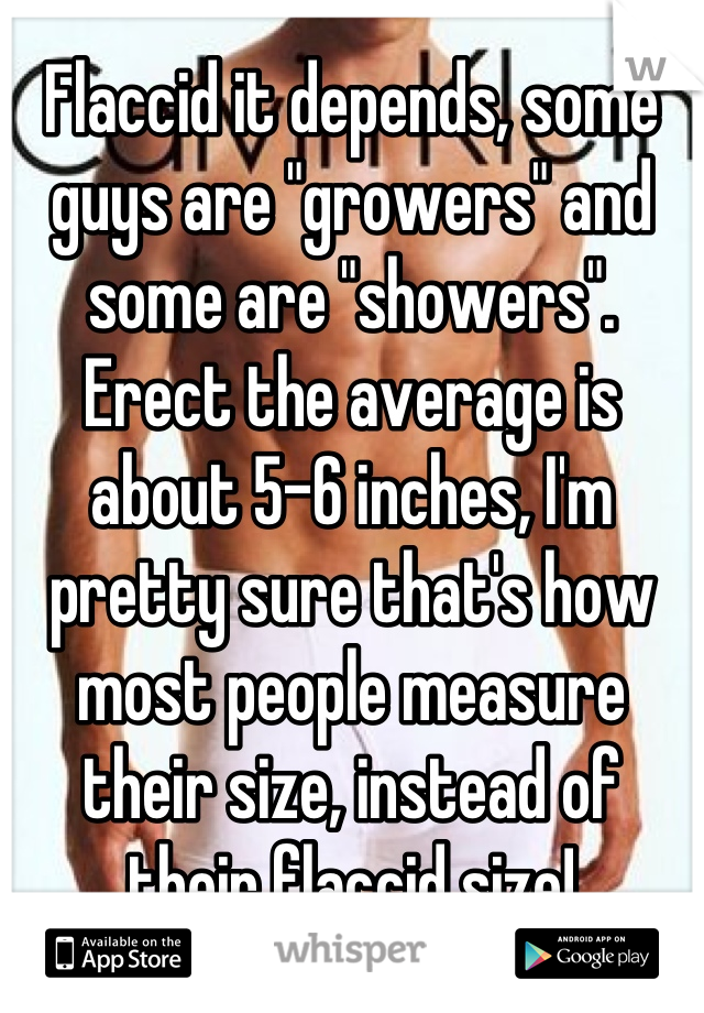 Flaccid it depends, some guys are "growers" and some are "showers". Erect the average is about 5-6 inches, I'm pretty sure that's how most people measure their size, instead of their flaccid size!