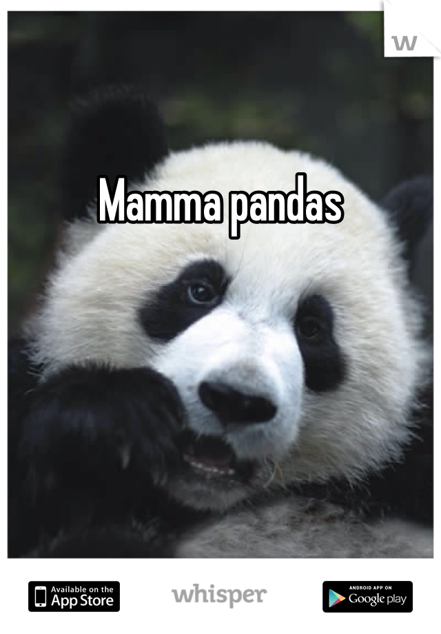 Mamma pandas