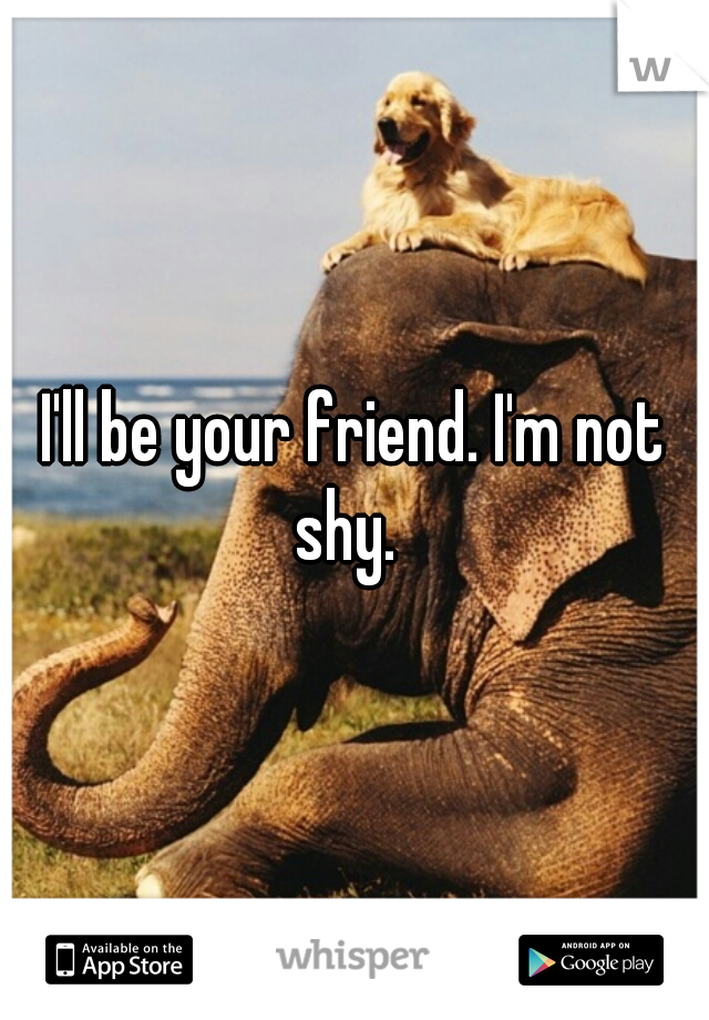 I'll be your friend. I'm not shy.  