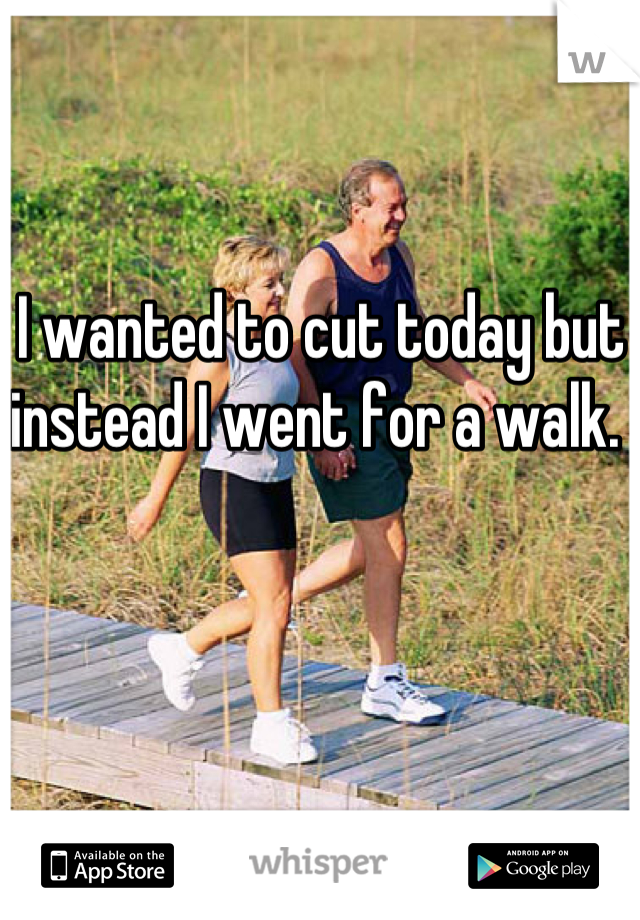 I wanted to cut today but instead I went for a walk. 
