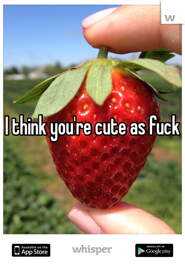 I think you're cute as fuck