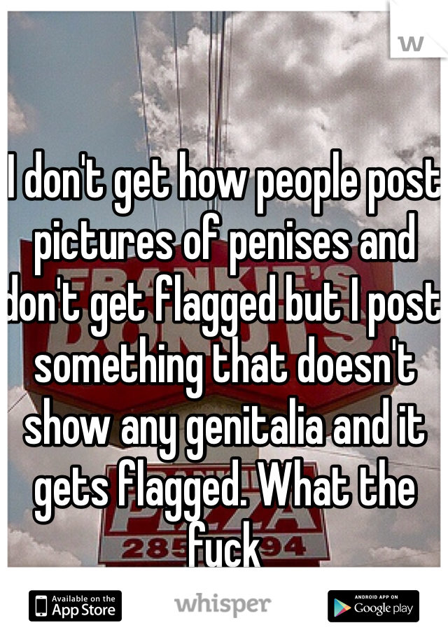 I don't get how people post pictures of penises and don't get flagged but I post something that doesn't show any genitalia and it gets flagged. What the fuck 