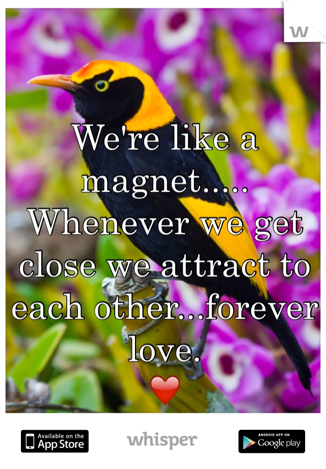 We're like a magnet..... Whenever we get close we attract to each other...forever love.
❤️