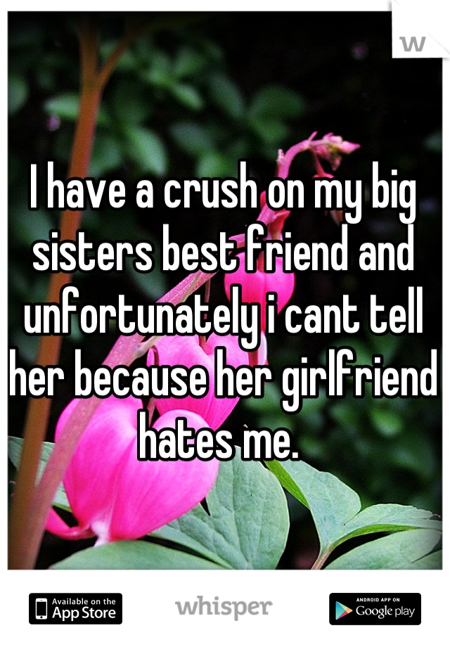 I have a crush on my big sisters best friend and unfortunately i cant tell her because her girlfriend hates me. 